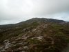 IMG_20190713_150746