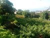 IMG_20180924_101428