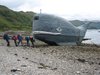 Having a whale of a time